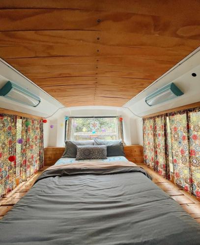 El bus del Bosque, Medellín (zdjęcie 6)