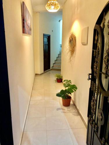 숙소 외관, Moderno apartamento en el centro , a 3 min del mar VI in 아실라