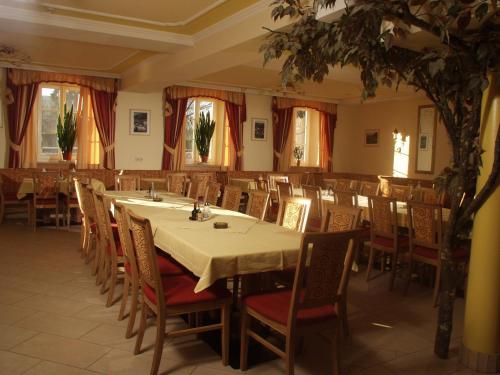 Dollinger - image 10