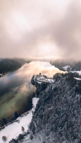 Hotel Seerose - image 5