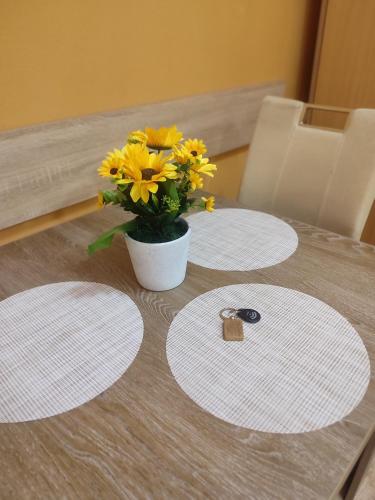 المرافق, Apartman JELAČIK (Apartman JELACIK) in Kertvaroš