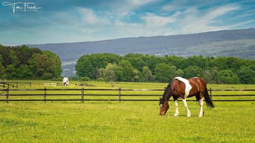 Letchworth Farm Guesthouses in Nunda, USA