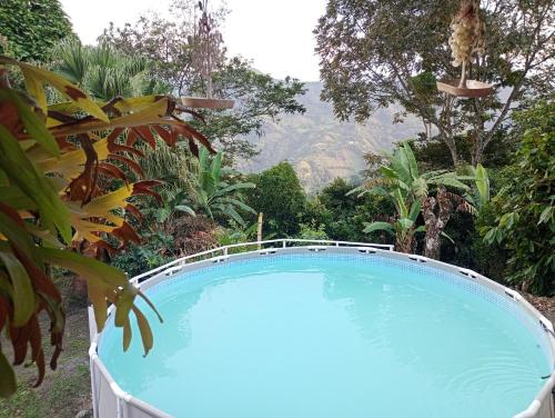 Peldbaseins, HACIENDA EL PORVENIR in Nocaima