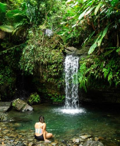La casita del mangó (La casita del mango) in كارولينا