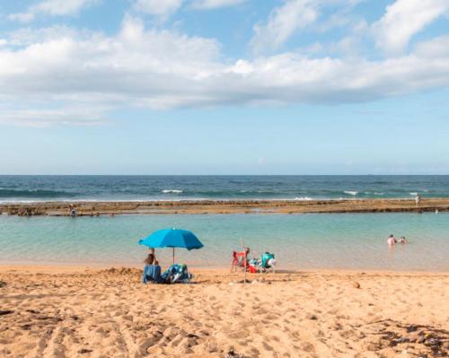 La casita del mangó (La casita del mango) in كارولينا