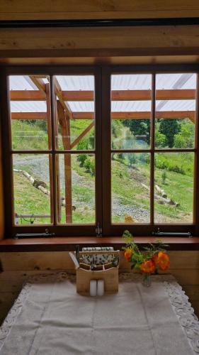 Kōtare Cabin, Thames Coast