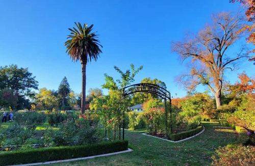 Central 2BR 1BA & Arcade Crib in the heart of Sac Central 2BR 1BA & Arcade Crib in the heart of Sac