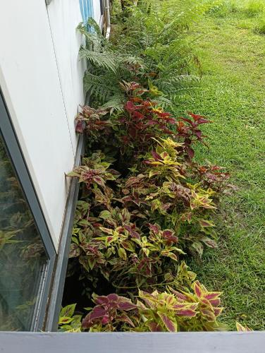 Simmering homestay 4 in Viseisei