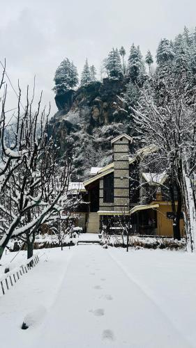 Into The Wild Manali