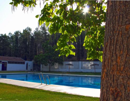 Dārzs, CENTRO DE OCIO ALUA Bungalows Camping Rafting Benameji in Benameji