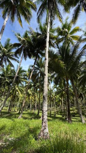 Era's Garden Homestay in Catmon