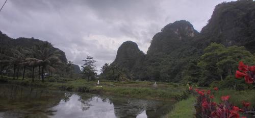 Berua homestay Rammang Rammang in Bonto Lempangan