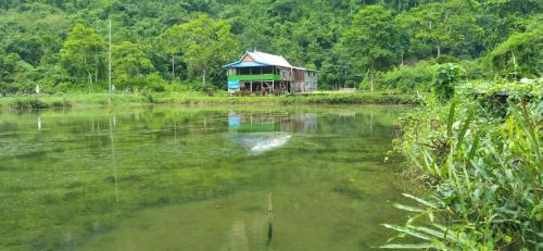 Berua homestay Rammang Rammang in Bonto Lempangan