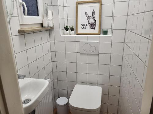 Das Immerreich in Hameln, Deutschland