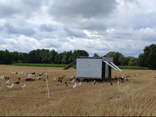 Tiny House Tiny House