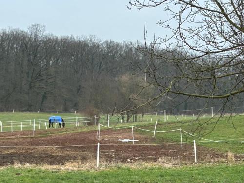 Tiny House Tiny House