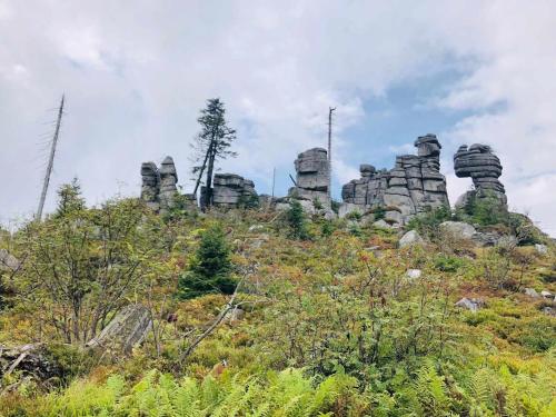 Közeli látványosságok, Haidműhle Šumava (Haidmuhle Sumava) in Haidmuhle