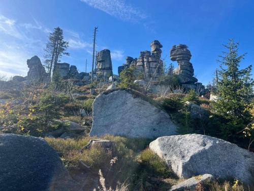 Közeli látványosságok, Haidműhle Šumava (Haidmuhle Sumava) in Haidmuhle