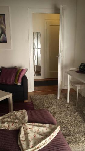 Amazing Studio in Geneva, Ginebra (foto 10)