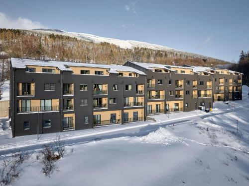 Studio Černý Důl-1 by Interhome (Studio Cerny Dul-1 by Interhome) in 赛尔妮杜尔
