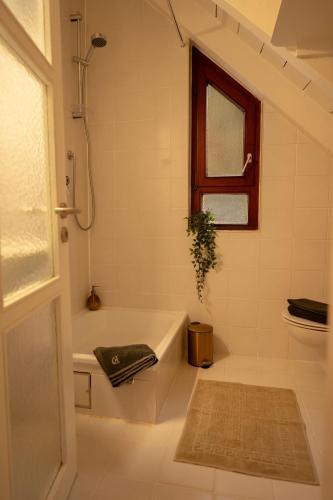 Baptistle in 許芬根