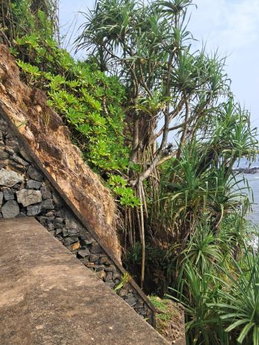 Sulo House, Weligama (fotografie 3)
