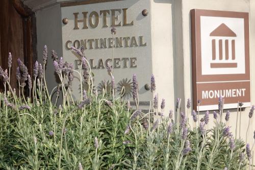 Hotel Continental Palacete - image 2