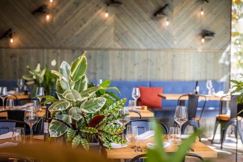 644926824 Boutique Hotel Sunrose 7 - Gourmet & SPA