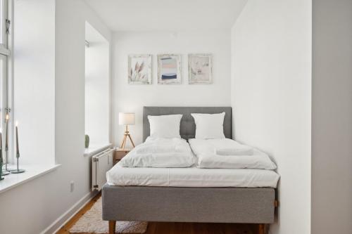 Modern City Suite in the old centre, Kodaň (fotografie 4)