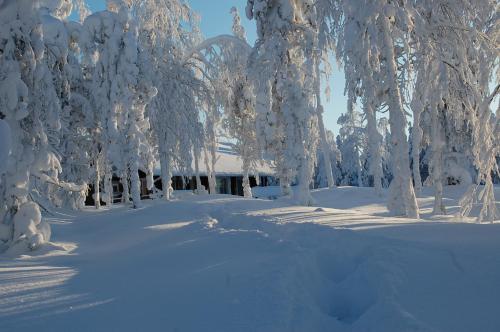 RukaNeliö Cottage