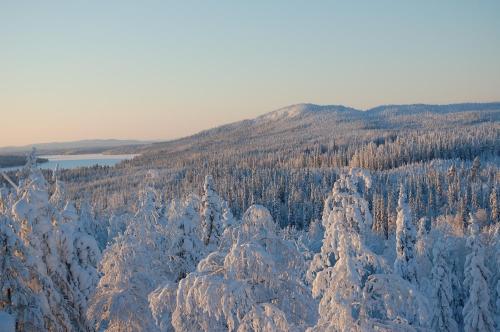 RukaNeliö Cottage