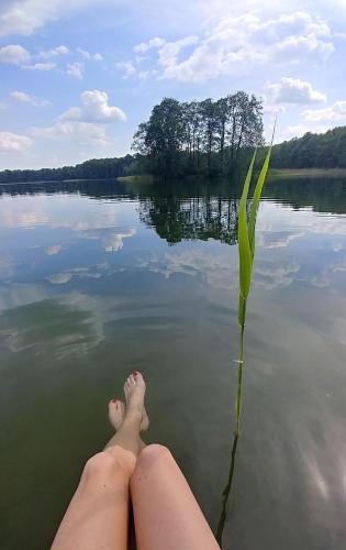Dom wakacyjny nad jeziorem Zajączkowskim