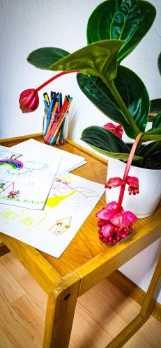 Nertha, die Ferienwohnung, Uslar (photo 8)