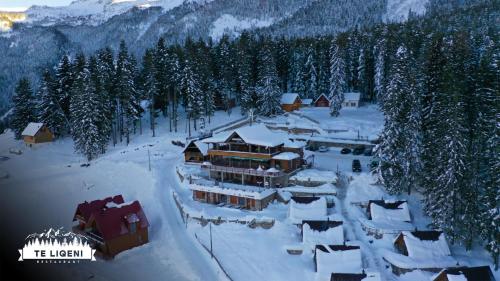 Hotel Te Liqeni in Peje