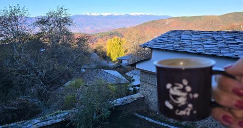 Вили Панорама Лещен