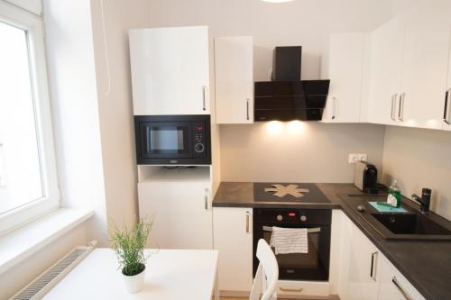 Central Premium Apartment LF, Vídeň (fotografie 6)