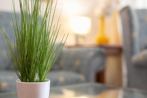 Apartment image 10