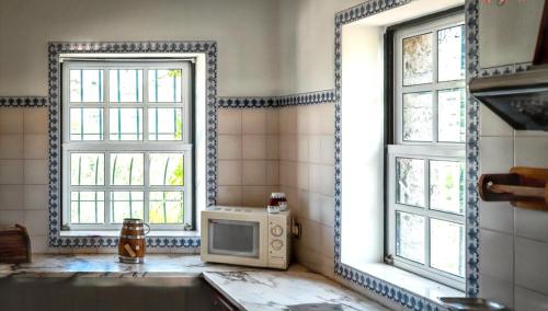 Villa with 3 bedrooms in Lamego with wonderful mountain view private pool enclosed garden 3 km from the beach - image 14