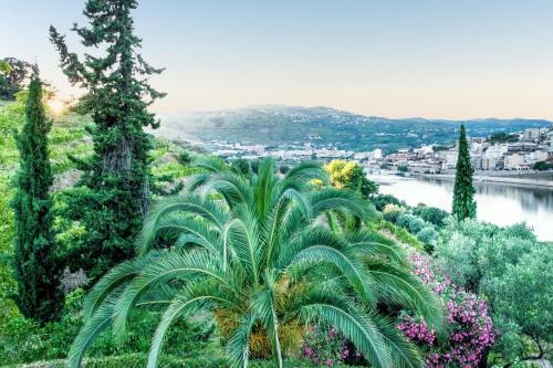 Villa with 3 bedrooms in Lamego with wonderful mountain view private pool enclosed garden 3 km from the beach - image 3