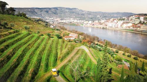 Villa with 3 bedrooms in Lamego with wonderful mountain view private pool enclosed garden 3 km from the beach - image 6