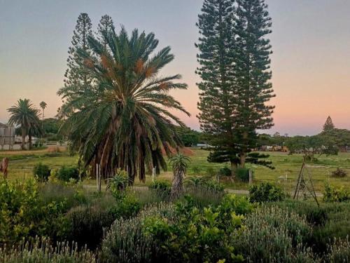 The Jbaynian Guesthouse The Jbaynian Guesthouse