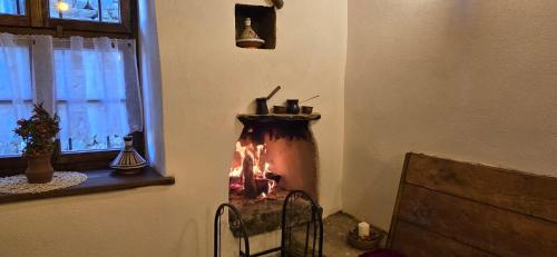 Вили Панорама Лещен