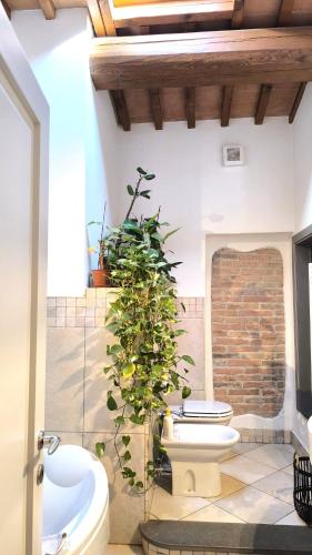 Casa Giulia, Prato (Foto 3)