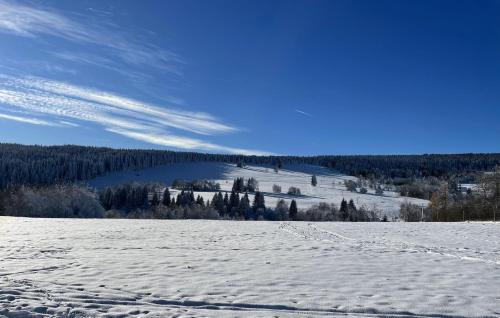Skats, Apartmán Nové Hutě Šumava (Apartman Nove Hute Sumava) in Nove Hute