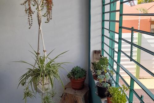 Cozy arty apartment in walking distance of CBD - image 5