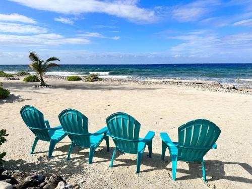 Aed, Featherstone Downstairs Apartment, Cayman Brac in The Moorings