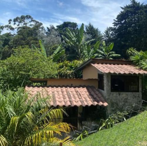 Vista de Lino in Los Naranjos