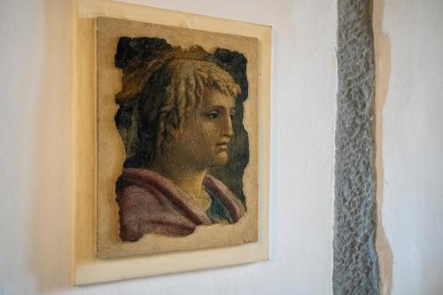 Wonderful View Carmine