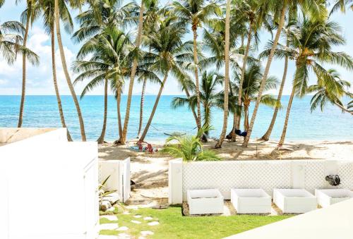 Driftwood Ocean Retreat in Humacao