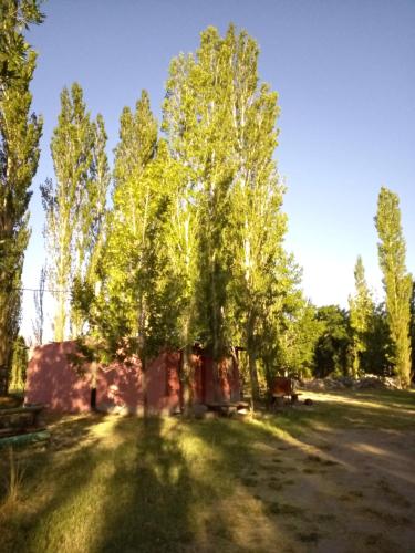 Cabañas Zorzal Rodeo (Cabanas Zorzal Rodeo) in Rodeo